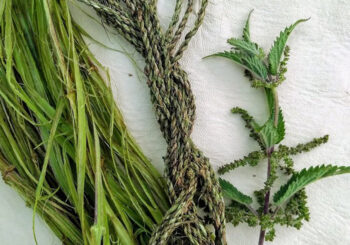 Nettle cordage